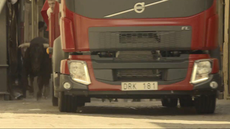 Illustration for article titled Viral Video: New Volvo FL Chased By Bulls